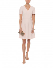 Pale Pink Fit and Flare Dress