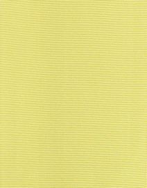 Fabric image thumbnail - Sara Roka - Lime Green Wide Ribbed Belt