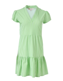Ginger Green Pinstripe Dress