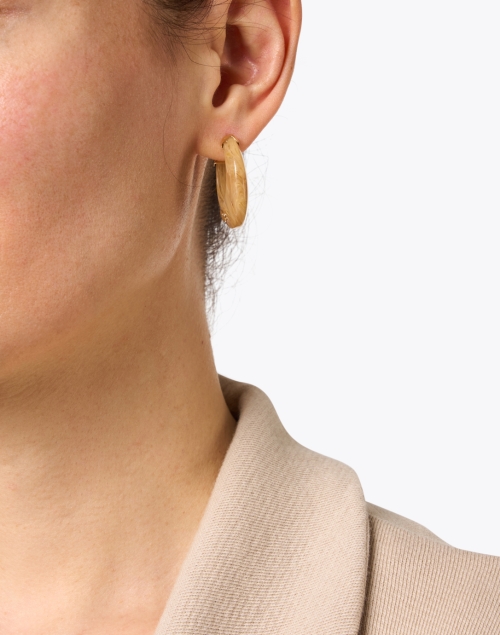 Abalone Hoop Earrings
