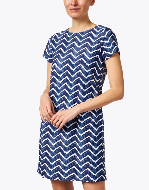 Front image - Jude Connally - Ella Navy Chevron Dress