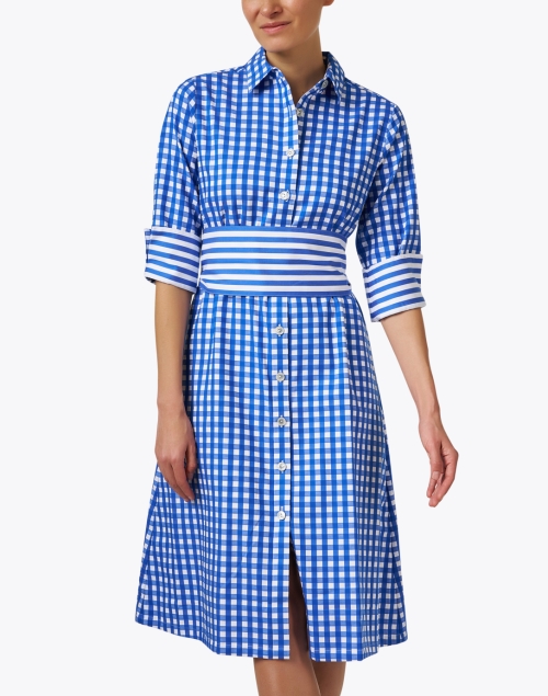 Front image - Hinson Wu - Tamron Blue Gingham Shirt Dress