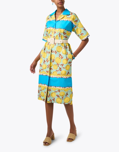 Watergreen Lemon Print Dress