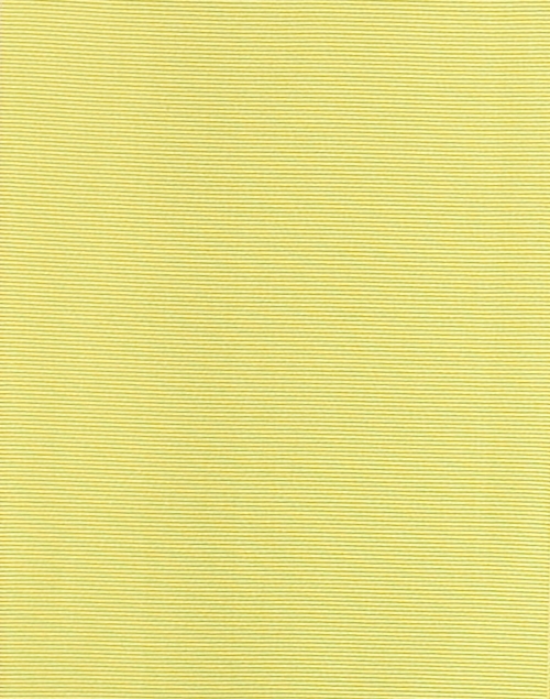 Fabric image - Sara Roka - Lime Green Wide Ribbed Belt