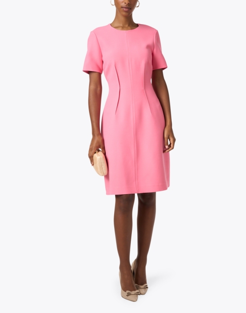Pink Wool Silk Darted Dress