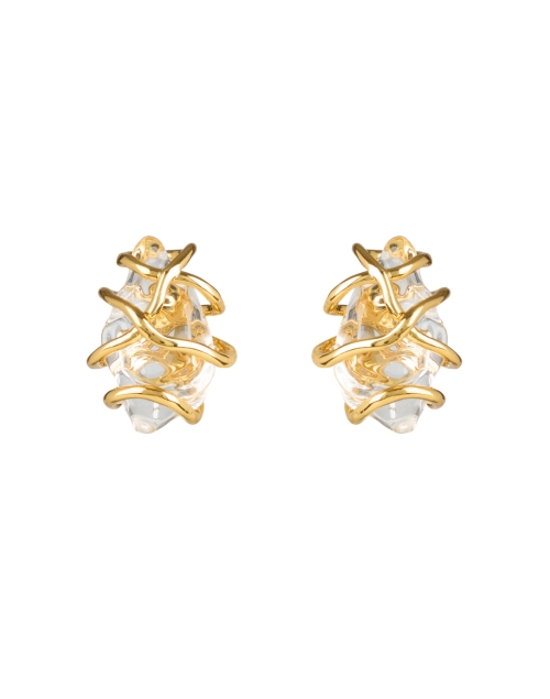 Alexis Bittar Gold and Lucite Post Earrings