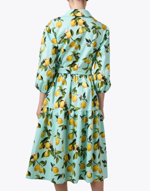 Back image - Helene Berman - Cassie Lemon Print Dress