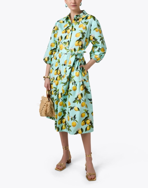 Cassie Lemon Print Dress