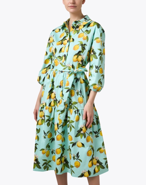 Front image - Helene Berman - Cassie Lemon Print Dress